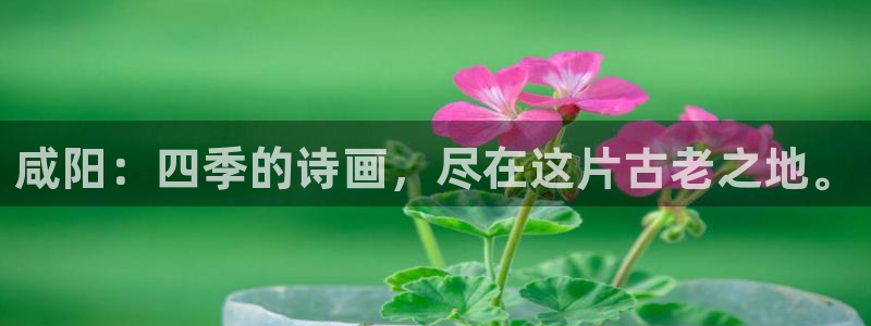 新宝gg创建奇迹