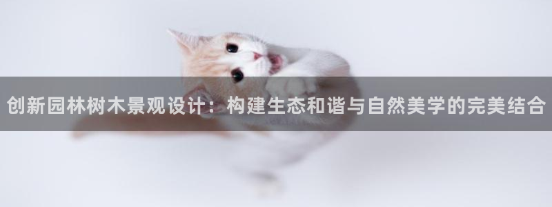 新宝 gg .com