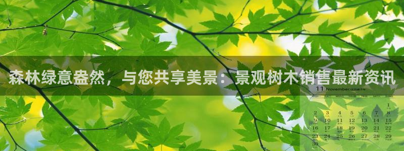 新宝gg开