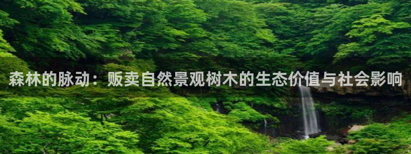 新宝GG用哪个网址登录