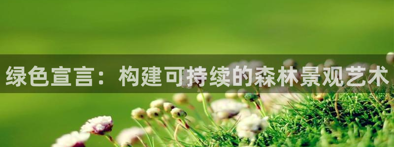 旧版新宝GG
