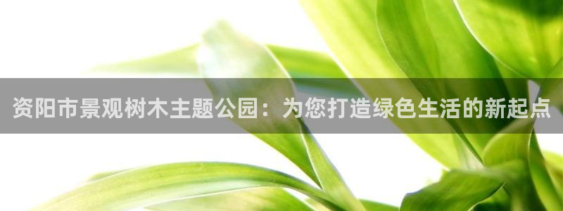 新宝gg如何注册登录