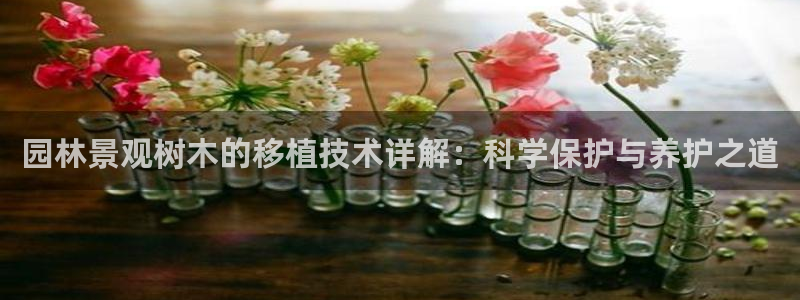 新宝gg合作