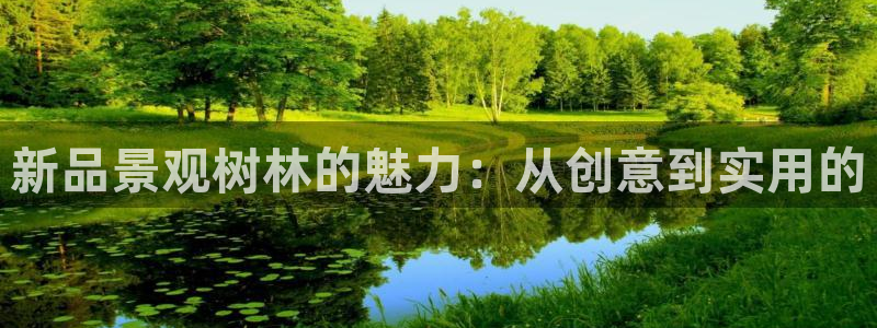 新宝gg官方