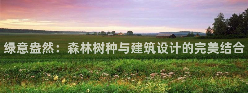 新宝gg打发