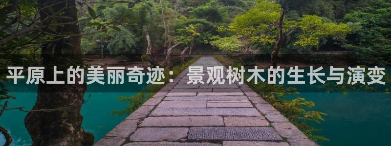 新宝gg为什么没人管