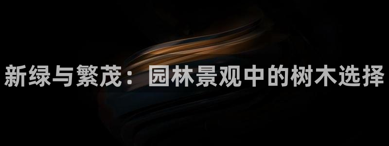 新宝gg代理条件