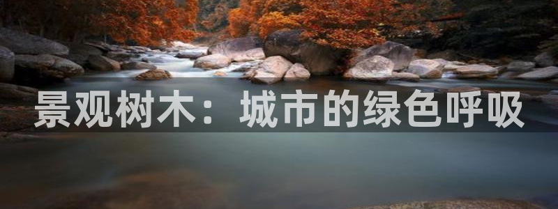 新宝gg怎么做代理