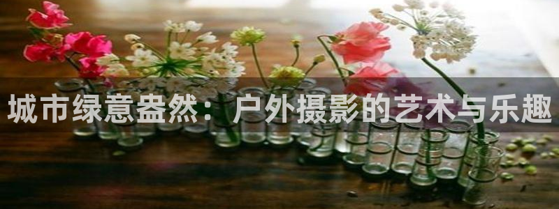 新宝gg平台怎么样
