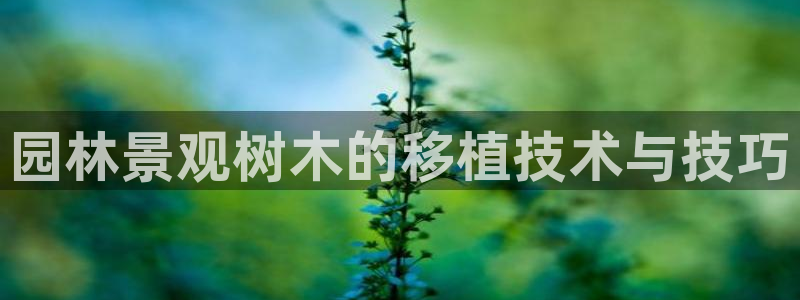 新宝创造Gg