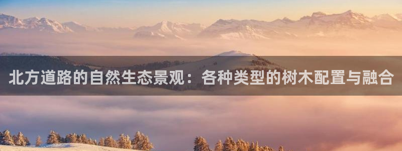 广东新宝电器gg