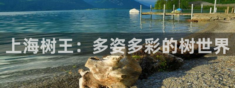 新宝gg开奖结果