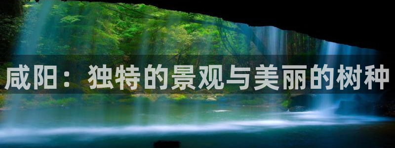 关于新宝GG