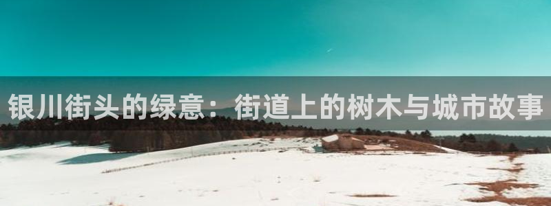 新宝gg套路
