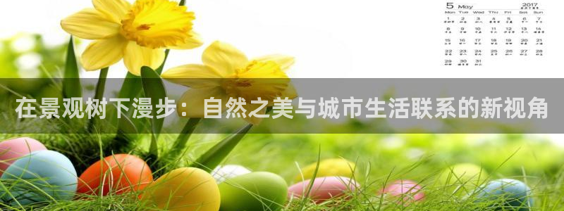 新宝gg如何做到总代理