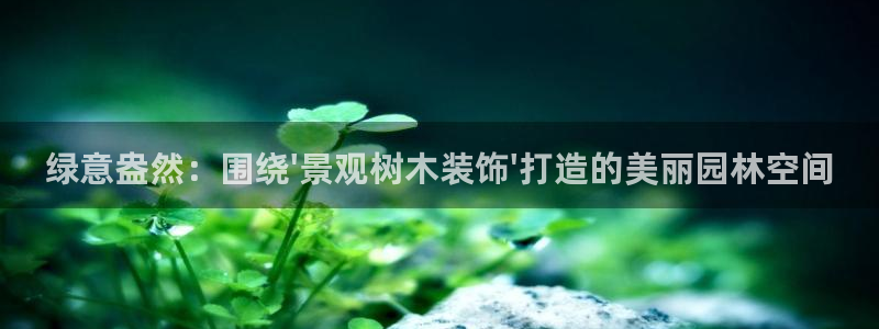 新宝gg是什么