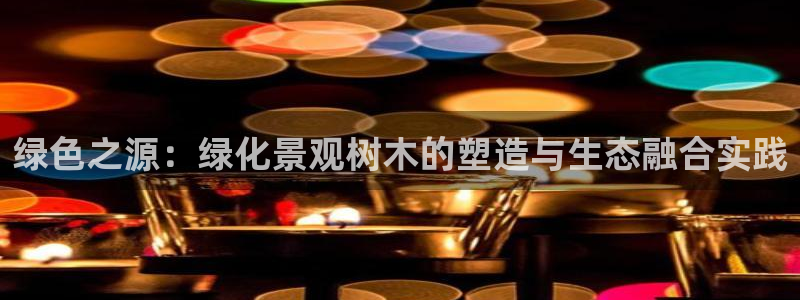 新宝gg娱乐盟主