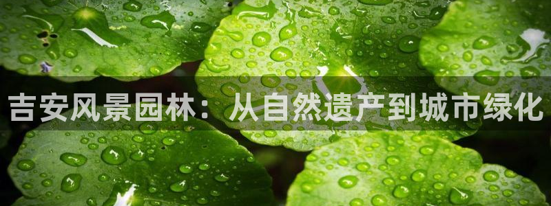 新宝gg系列：吉安风景园林：从自然遗产到城市绿化