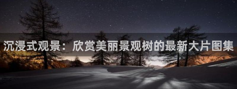 新宝gg为什么没人管