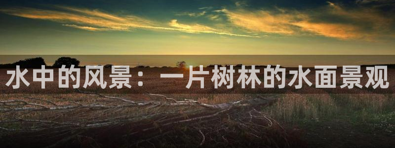 新宝gg官方主管