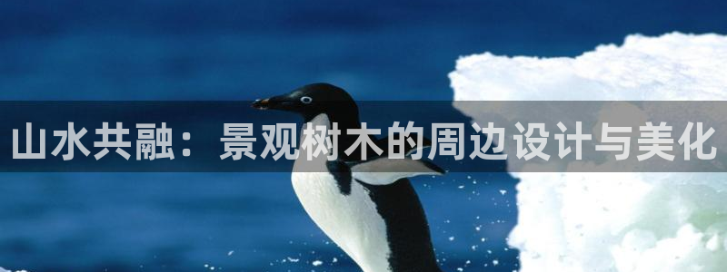 新宝gg新宝5注册：山水共融：景观树木的周边设计与美化