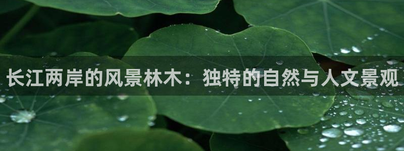 新宝gg登录注册：长江两岸的风景林木：独特的自然与人文景观