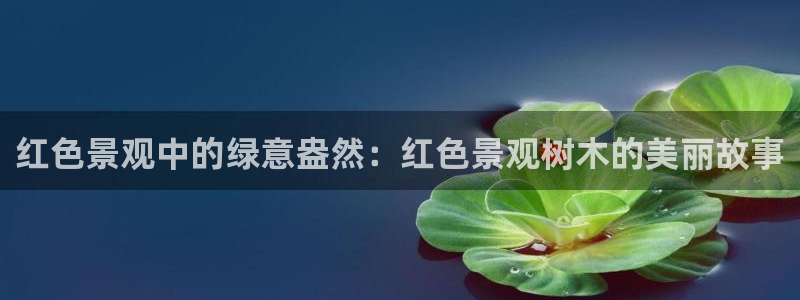 新宝gg手机app