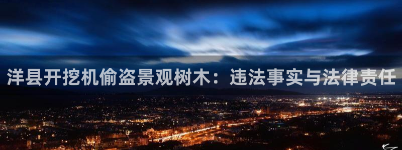 新宝gg挂机app