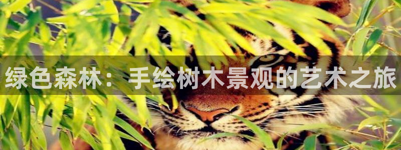 新宝gg 平台怎么样：绿色森林：手绘树木景观的艺术之旅