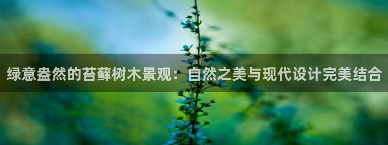 新宝gg如何做到总代理