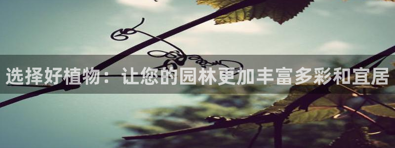 新宝gg直：选择好植物：让您的园林更加丰富多彩和宜居