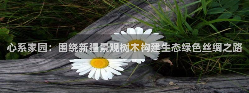 新宝gg招商89188：心系家园：围绕新疆景观树木构建生态绿色丝绸之路