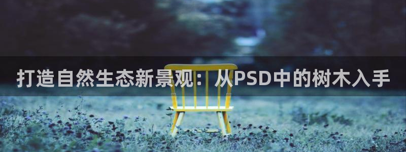 新宝新宝gg开户流程