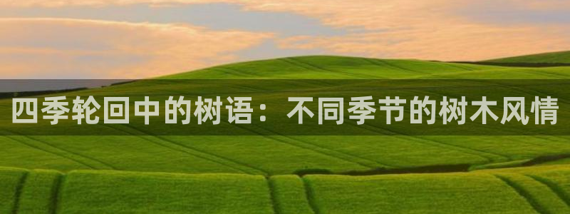 66新宝gg：四季轮回中的树语：不同季节的树木风情