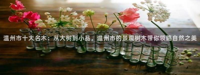 新宝gg注册 776317：温州市十大名木：从大树到小品，温州市的景观树木带你领略自然之美