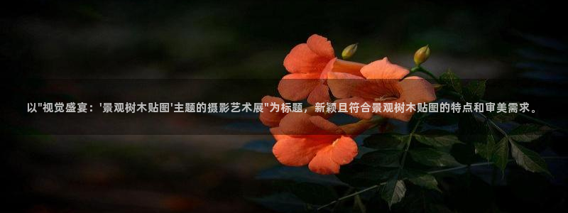 新宝GG 黑钱
