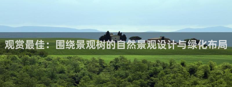 新宝gg打发：观赏最佳：围绕景观树的自然景观设计与绿化布局