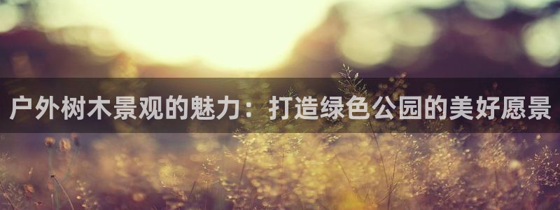 新宝gg群：户外树木景观的魅力：打造绿色公园的美好愿景