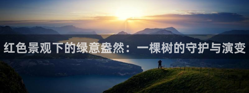 新宝六与新宝gg