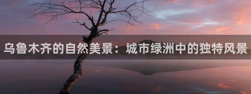 新宝太阳gg