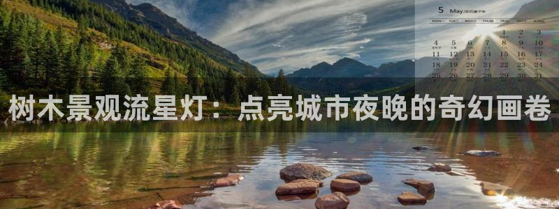 新宝gg最：树木景观流星灯：点亮城市夜晚的奇幻画卷