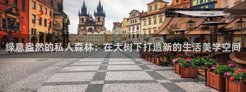 新宝gg赚钱：绿意盎然的私人森林：在大树下打造新的生活美学空间