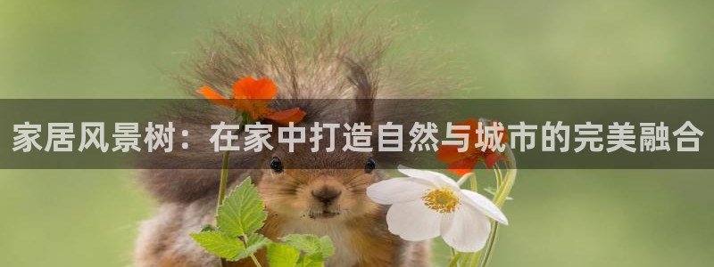 新宝gg创建奇迹