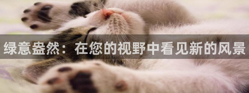 新宝gg客户端下载