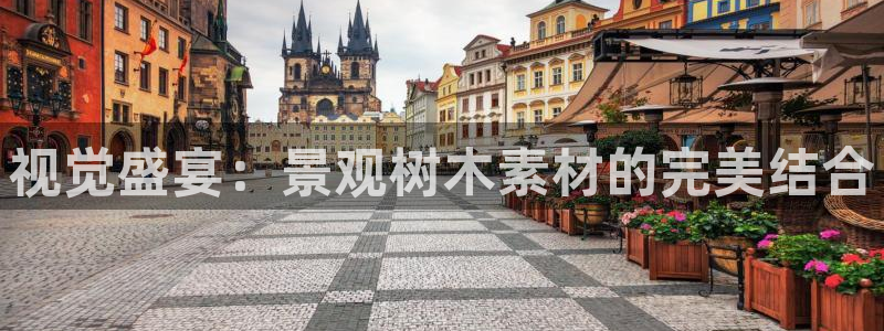 新宝GG娱乐-上皇巢网