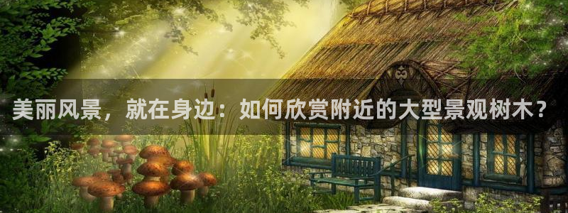 新宝gg dengludizhi