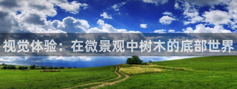 新宝gg如何代理