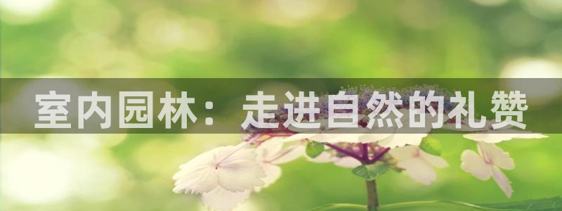 新宝gg注册cqdellar：室内园林：走进自然的礼赞