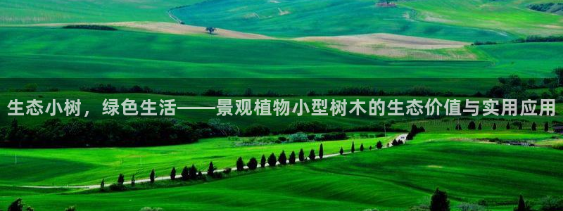 认准新宝gg：生态小树，绿色生活——景观植物小型树木的生态价值与实用应用