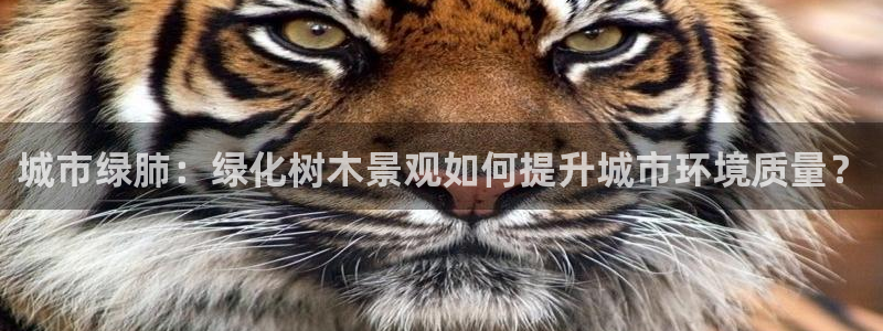 新宝gg娱乐平台：城市绿肺：绿化树木景观如何提升城市环境质量？